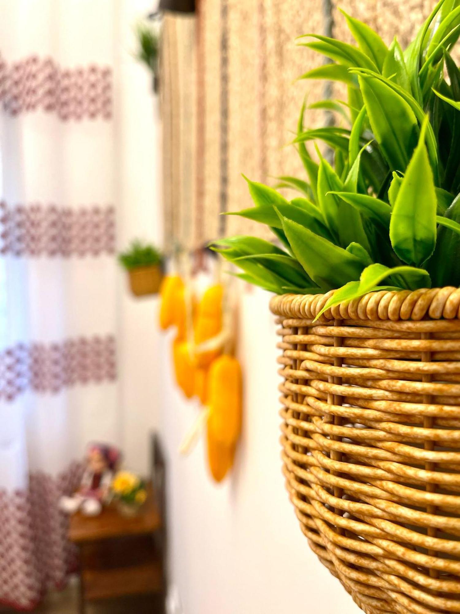 Romanian Spirit Apartament
